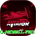 baypg Mobile Pro
